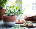 ИКЕА с участие на ONE DESIGN WEEK в Пловдив