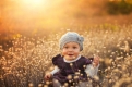 Конкурс Слънчева есен 2012 – гласуване!