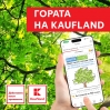 В засаждането на най-голямата споделена гора могат да се включат клиентите на Kaufland 